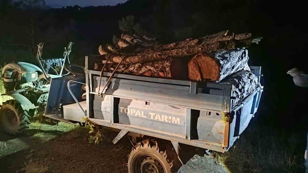 Antakya'da ormanlık alanda usulsüz kesim: Kisecik Radar mevkisinde şüpheliler yakalandı