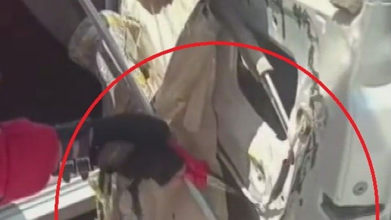 Antakya'da sürücüsünü şaşırtan olay: aracın kapısına giren yılan yakalandı