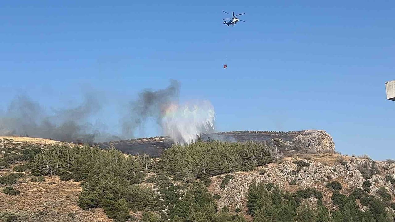 Antakya'da zeytinlikleri tehdit eden orman yangınına müdahale sürüyor