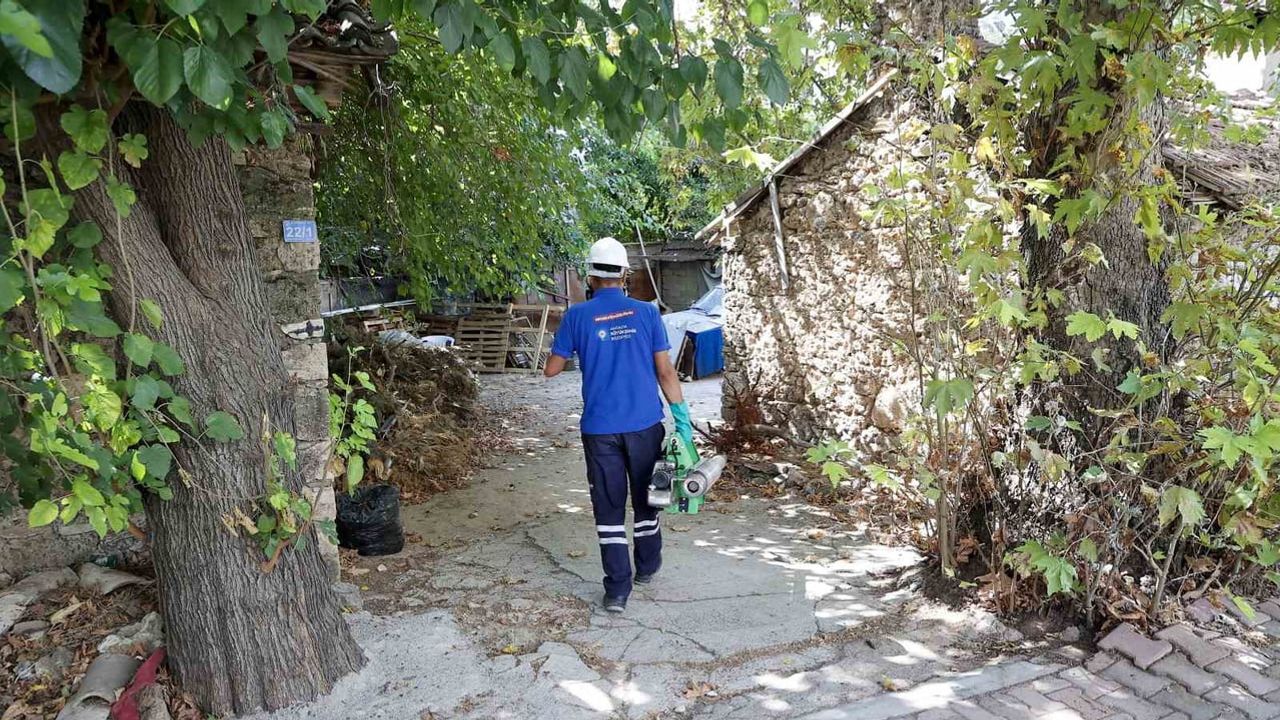 Antalya Büyükşehir Belediyesi'nden kent genelinde vektörle mücadele seferberliği
