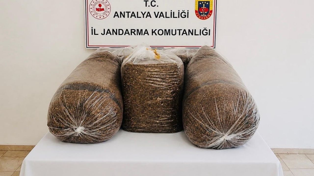 Antalya'da iki ilçede düzenlenen baskında 365 kilo kaçak tütün ele geçirildi