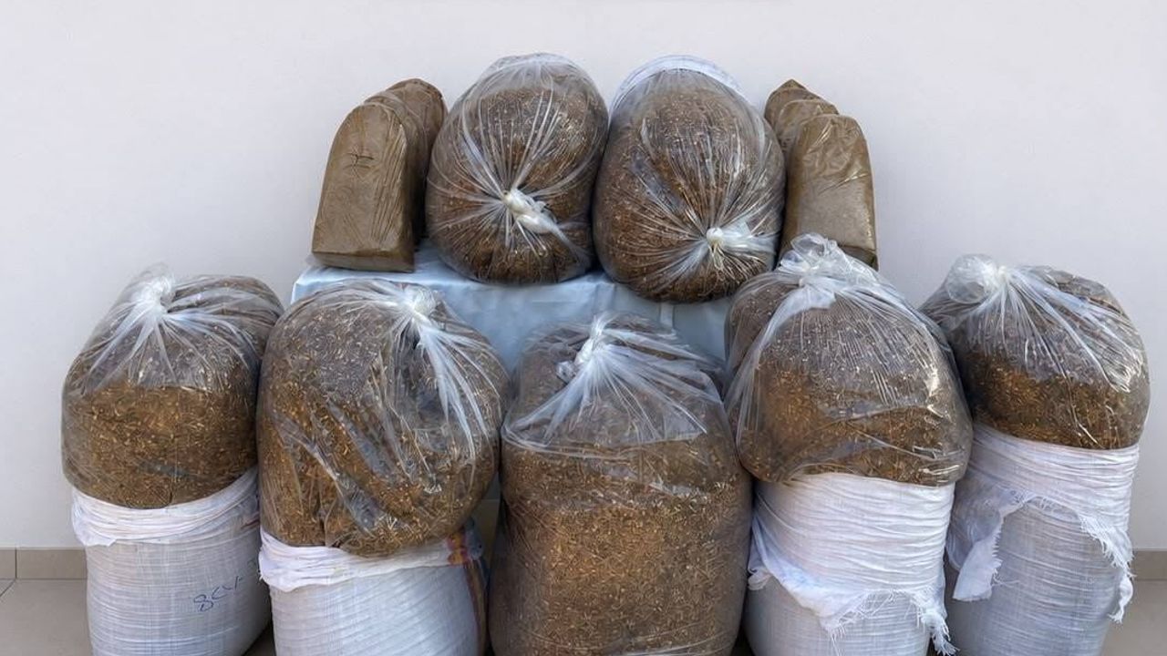 Antalya'da jandarmadan üç ilçede kaçak tütün operasyonu