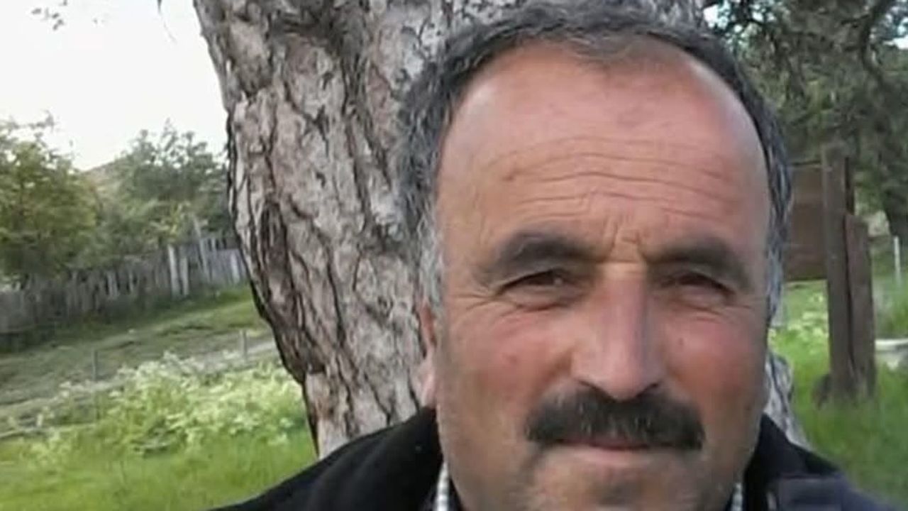 Araç'ta ağaç devrilmesi sonucu bir kişi yaşamını yitirdi