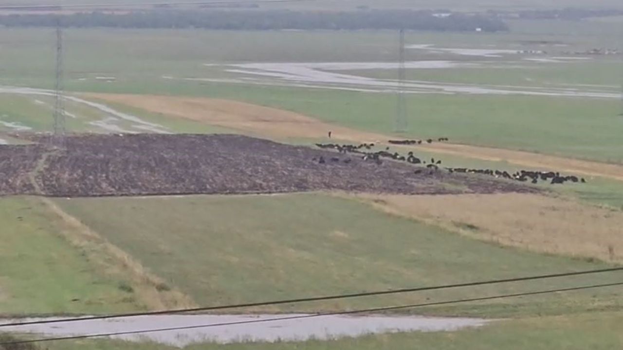 Ardahan'da ani sağanak ve dolu köy yolları ile ekinleri vurdu