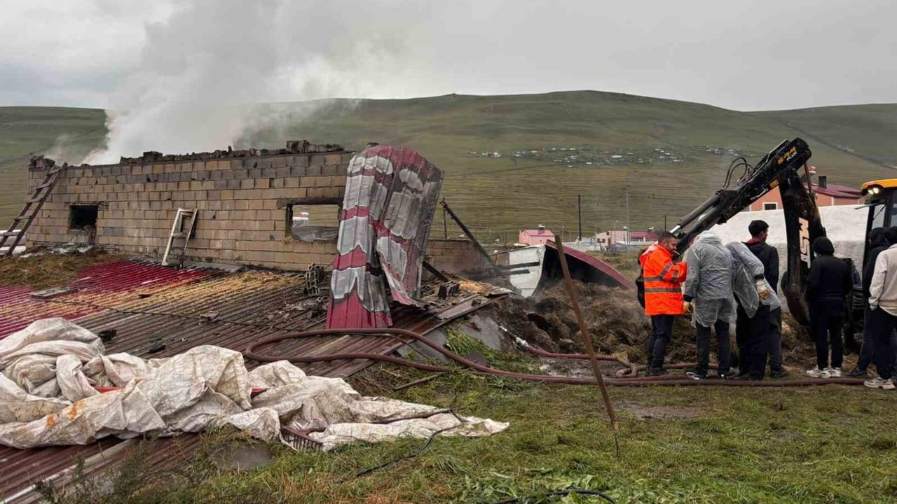 Ardahan'da kırsal yangın ahır, samanlık ve ambarı kullanılamaz hale getirdi