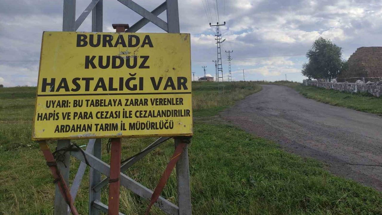 Ardahan’da mahalle karantinaya alındı: kuduz şüphesi sonrası önlemler artırıldı