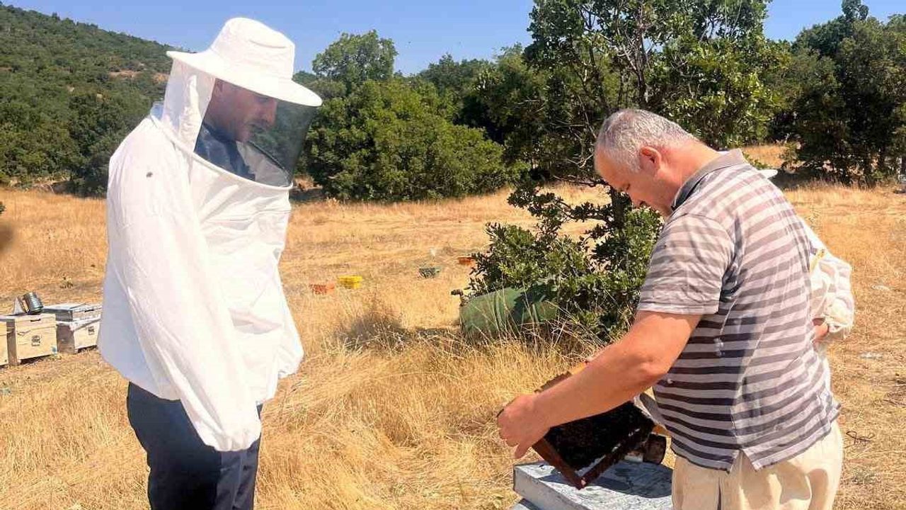 arı kovan envanteriyle üreticinin destek erişimi güçlendiriliyor