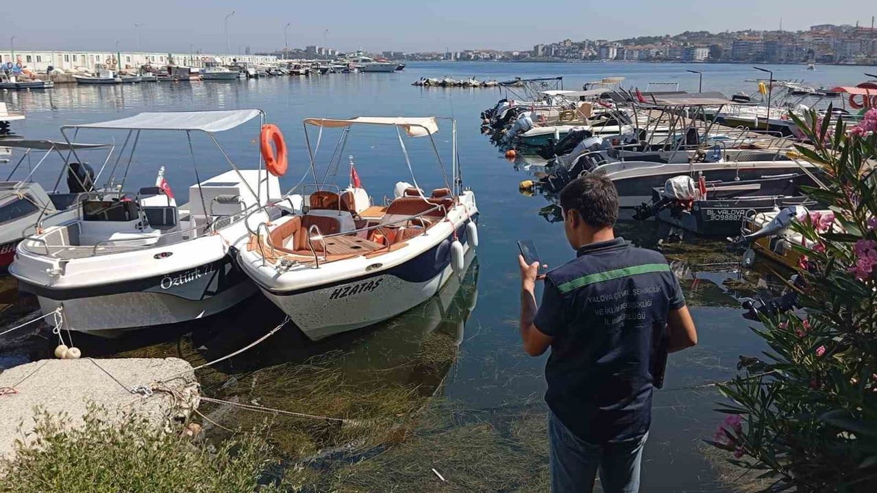 Arıtılmayan atık sular Çınarcık'a 7 milyon 970 bin lira fatura çıkardı