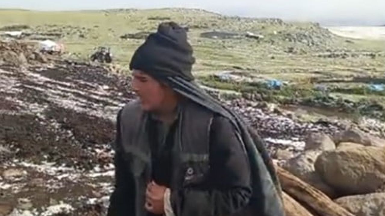 Arpaçay'da yaylada bastıran dolu vatandaşları hayvanları için endişelendirdi