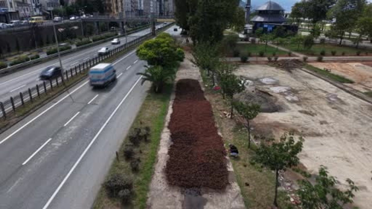 Arsin'de sahil kaldırımlarında fındık nöbeti: gece gündüz ürünün başında duran üreticiler