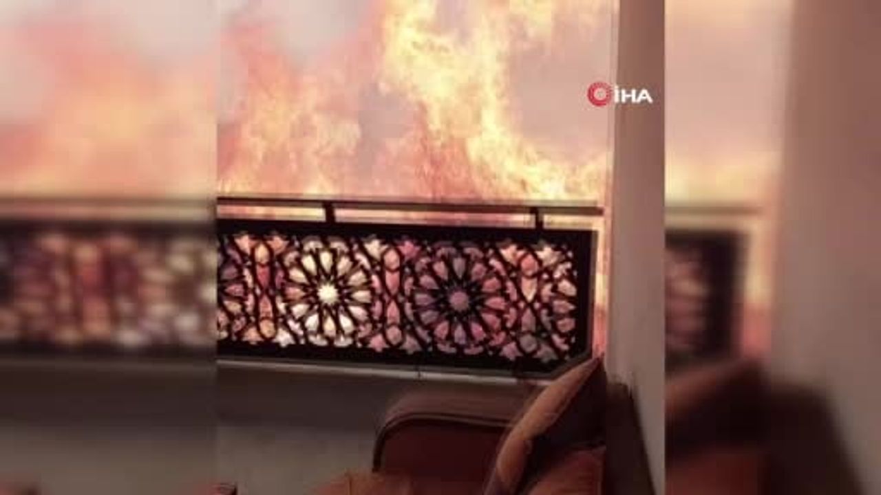 Aşırı sıcakların bilançosu: Cezayir'de 12 ölü, 54 yaralı