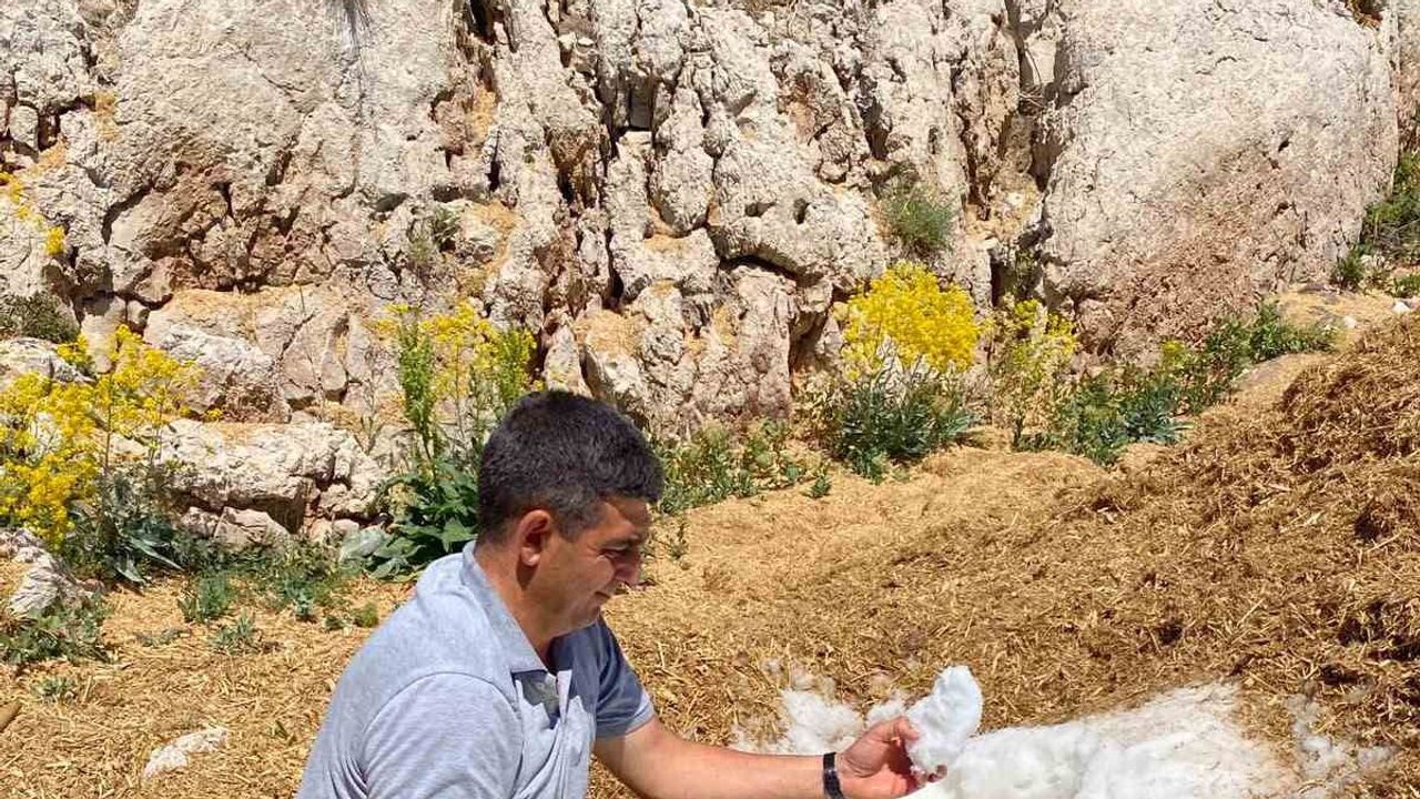 Asırlık kar geleneği Elbistan yaylalarında yaza serinlik taşıyor