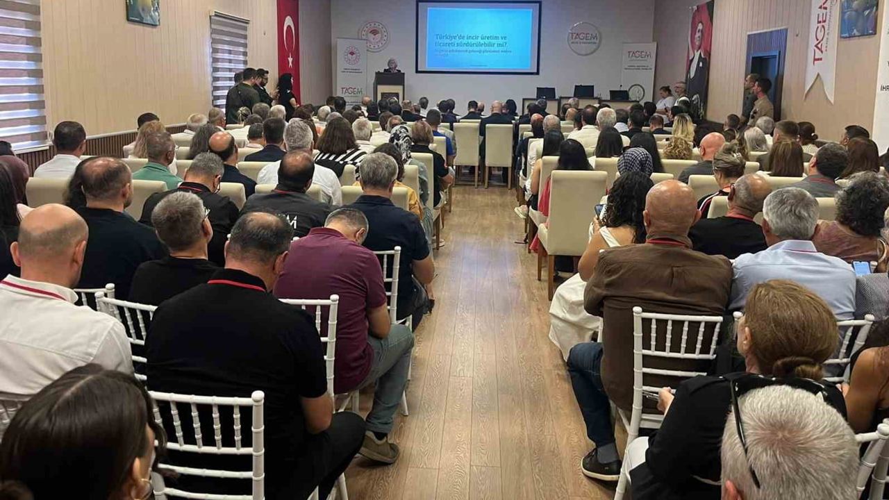 Aydın'da incirin geleceği için 100 milyonluk mikotoksin ar-ge merkezi planı