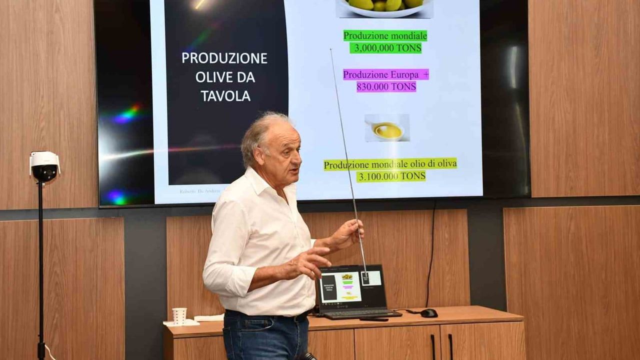 Aydın'da sofralık zeytinde uluslararası tadım standardı oluşturuluyor