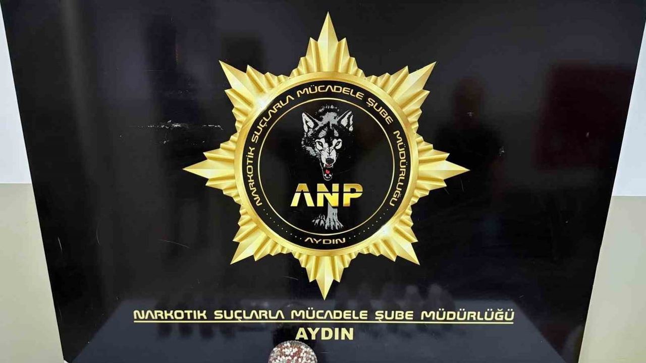 Aydın'da şüphelinin evinde 2 bin 456 sentetik ecza çıktı