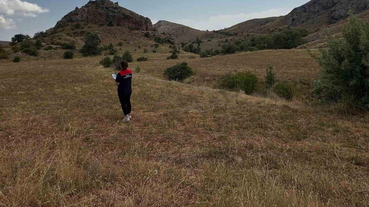 Aydıntepe'de tarımsal veriler güncelleniyor: ürün tespiti ve ÇKS denetimleri sürüyor