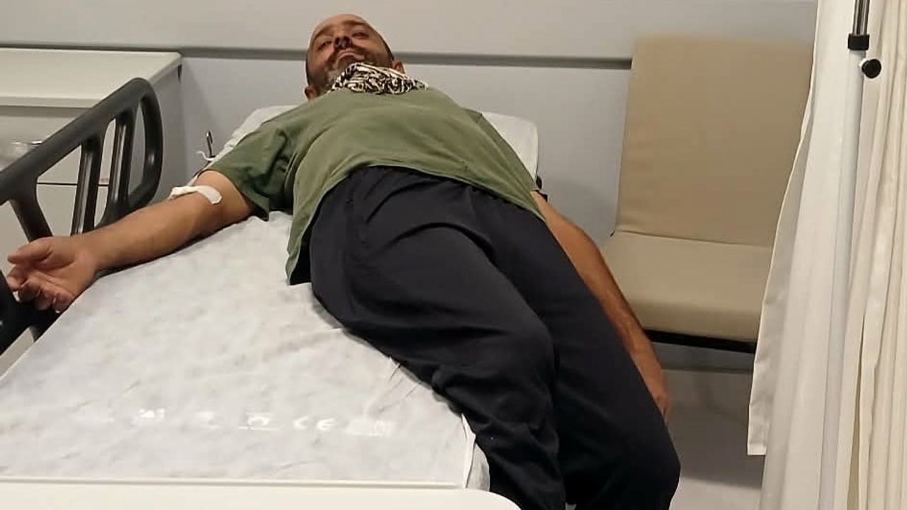 Ayıdan kaçarken kayadan düşen kişi Ovacık'ta yaralandı