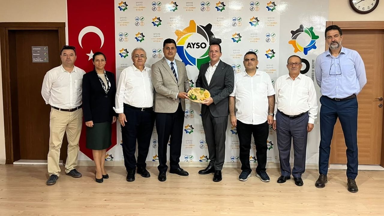 AYSO'dan incirde aflatoksin riskine karşı UV-A destek