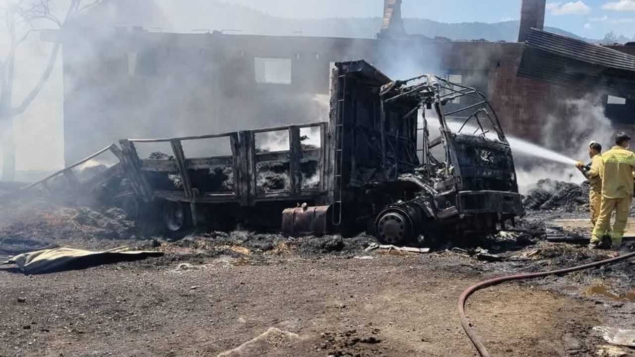 Azdavay'da alevler evden samanlığa, oradan kamyona sıçradı