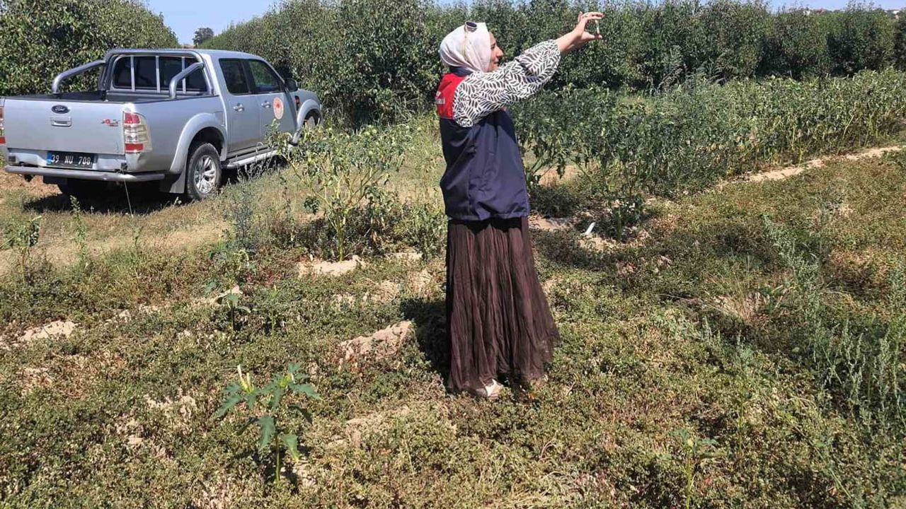 Babaeski'de tarım arazilerinin gerçek resmi uydu ve saha verileriyle ortaya çıkıyor