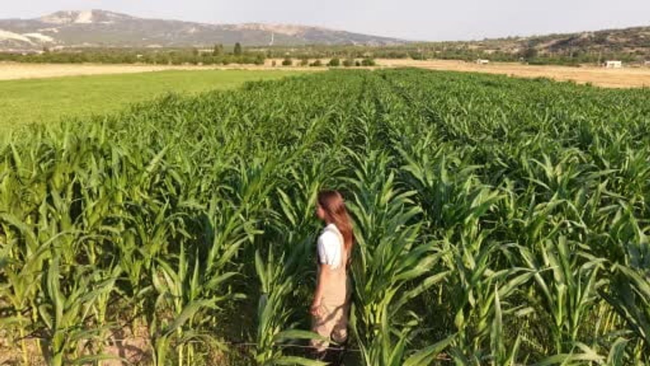 Babasının iş kazasıyla omuzladığı çiftliği genç kadın eğitimiyle birlikte sürdürüyor