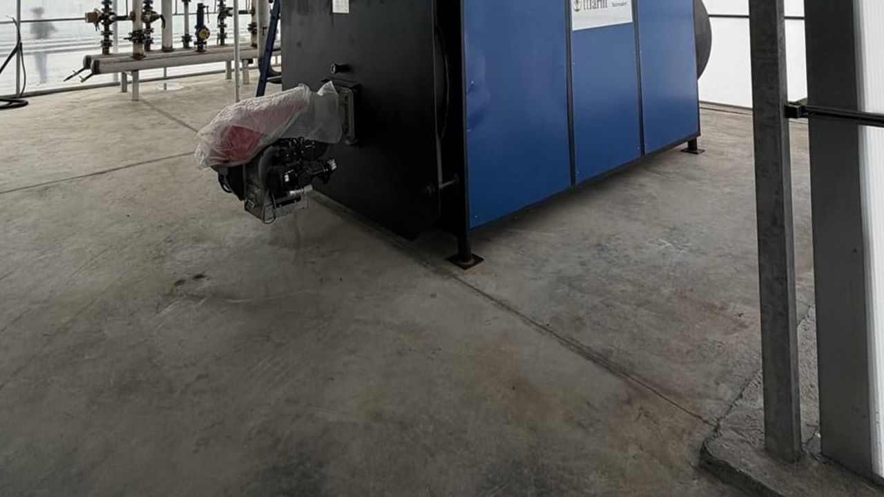 Bafra'da teknolojiyle domates ve çilek üretimi yeni döneme girdi