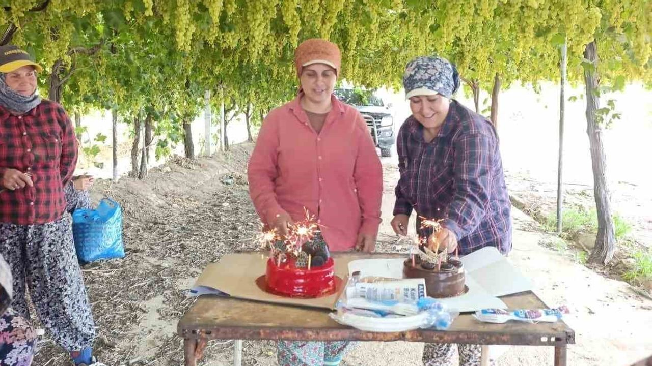 Bağda mesai arasında doğum günü sürprizi: öğretmenden işçiye moral
