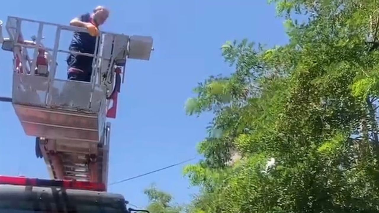 Bahçe ağacında ipe takılan karga itfaiyenin dikkatiyle kurtarıldı