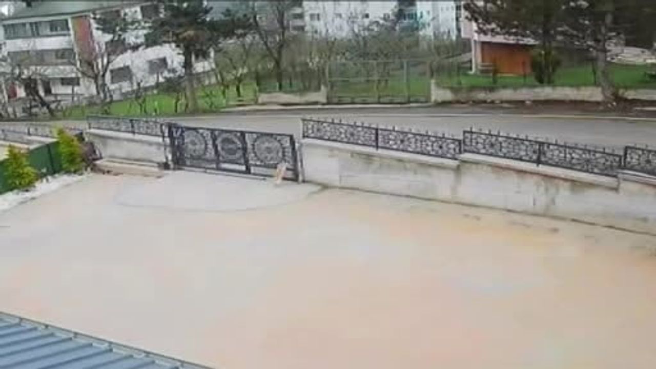 Bahçe kapısından fırlayan köpeğe çarpıp kaçtı, 10 yaşındaki çocuk bayıldı