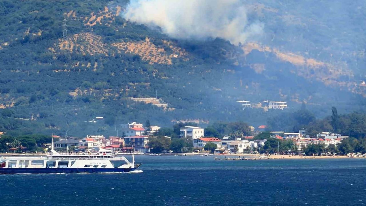 Bahçedeki kaynak kıvılcımı büyük yangını başlattı; bir kişi gözaltında