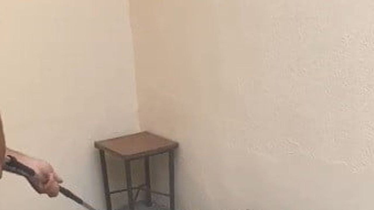 Bahçeye giren yılan itfaiyenin müdahalesiyle Doğa Koruma ve Milli Parklar ekiplerine teslim edildi