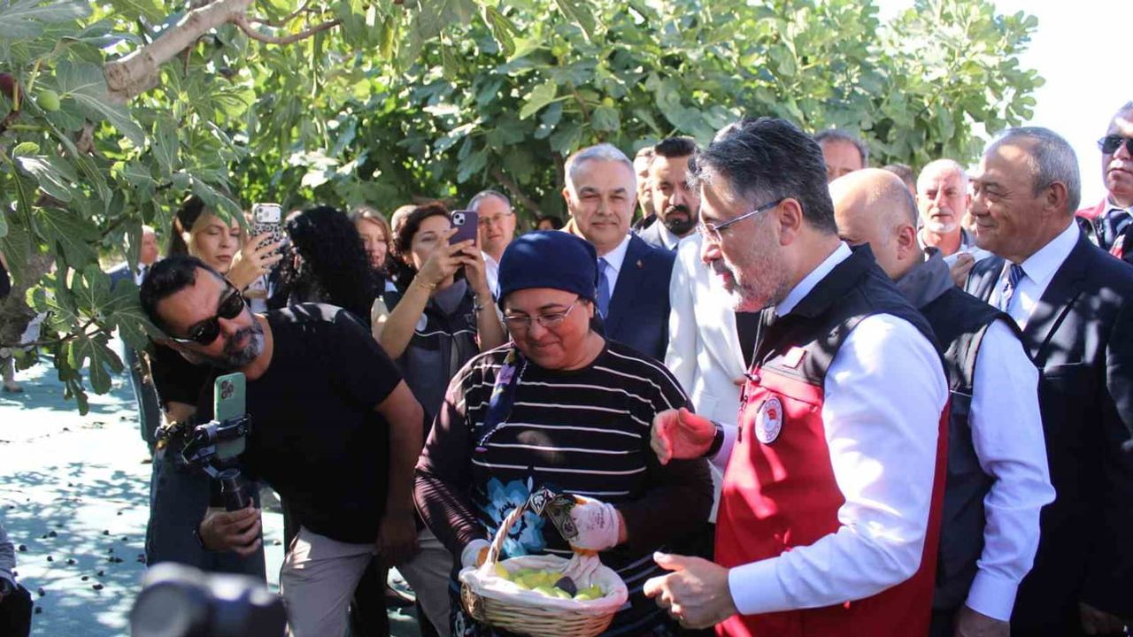 Bakan İbrahim Yumaklı Aydın’da incir hasadına katıldı ve ihracat kaygılarına vurgu yaptı
