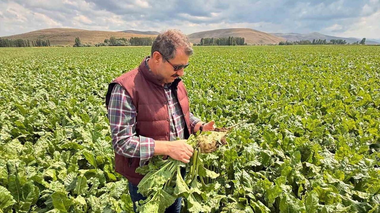 Bakan yardımcısından Çiftetaş tarlasından memleket özlemi