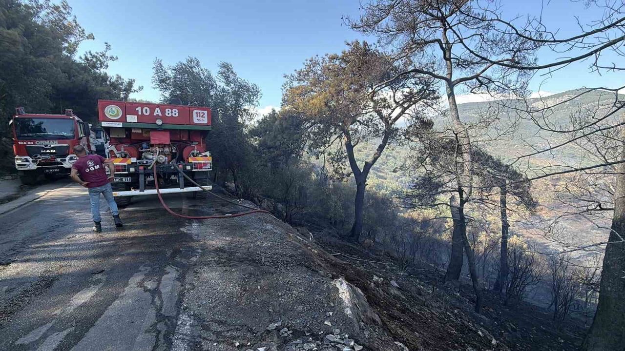 Balıkesir'de Edremit ve Dursunbey yangınları kontrol altına alındı, soğutma çalışmaları sürüyor