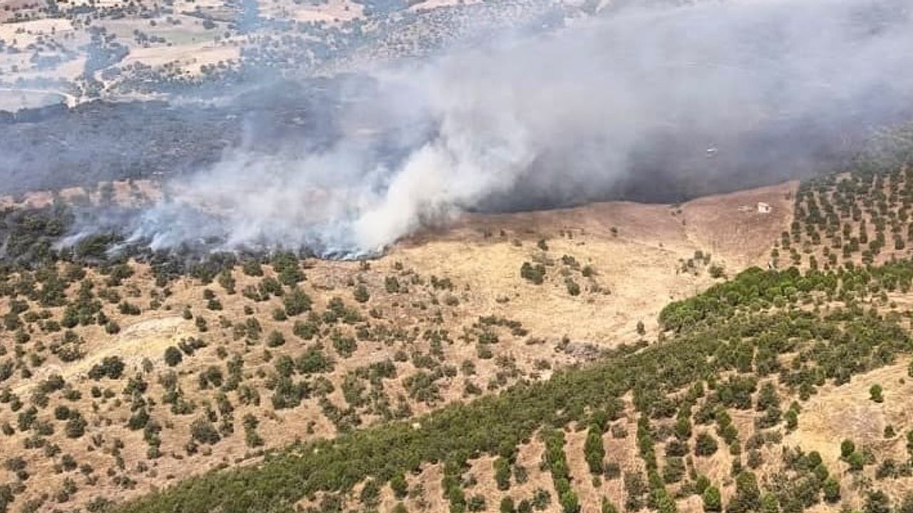 Balıkesir'de eş zamanlı orman yangınları: Altıeylül ve Sındırgı'da müdahale sürüyor