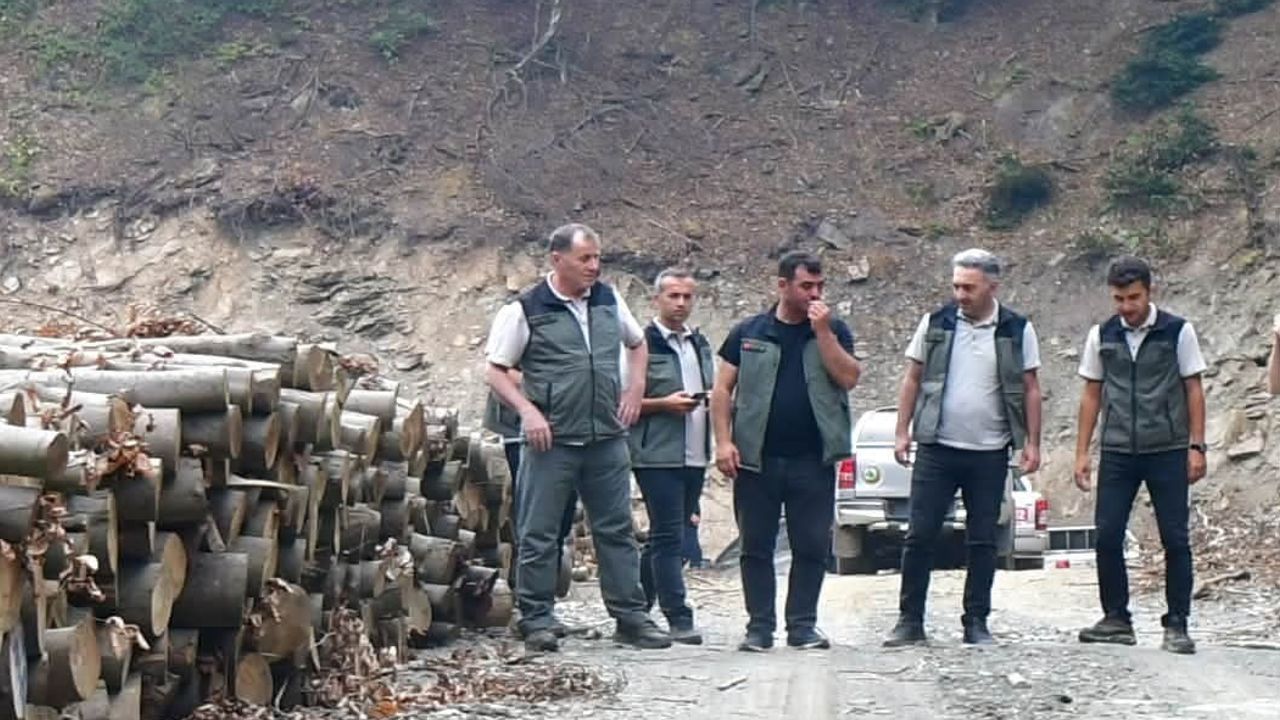 Balıkesir orman bölge müdürü sahada: Bandırma işletme müdürlüğünde kapsamlı inceleme