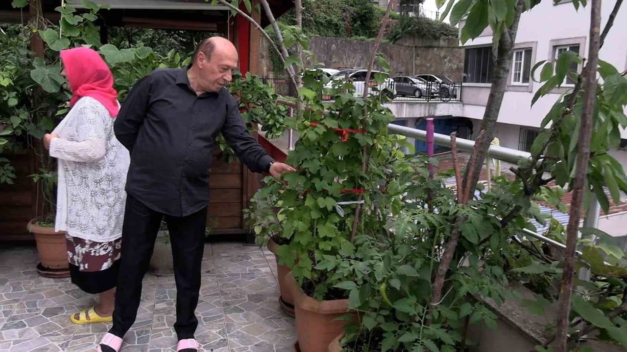 Balkonda köy hayatı kurdular: 102 saksıyla şehirde botanik bahçesi