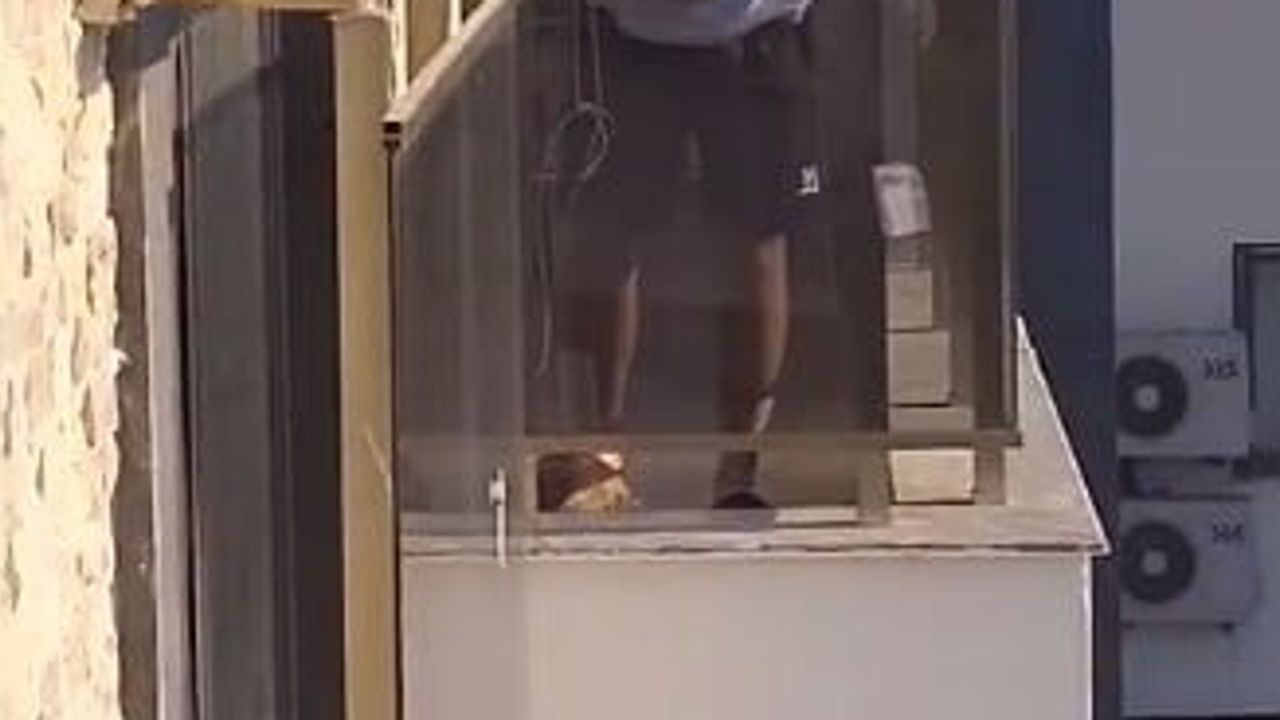Balkondan sarkıttığı plaj çantasıyla mahsur kediyi güvenle indirdi