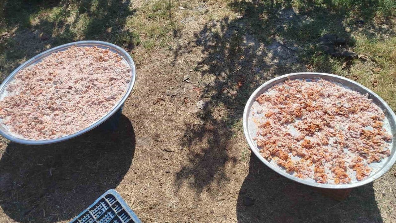 Başçayır kadınları kışlık tarhanayı gelenek ve menengiçle hazırlıyor