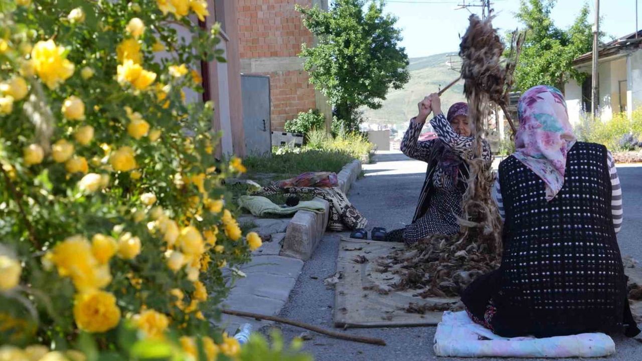 Bayburt’ta yazın sürdürülen yün çırpma geleneği