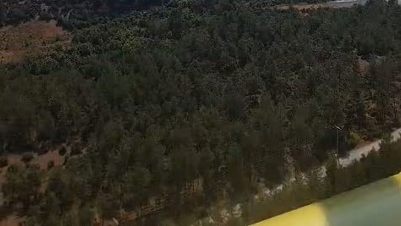 Bayramiç'te alevlerle amansız mücadele: helikopter destekli söndürme çalışması