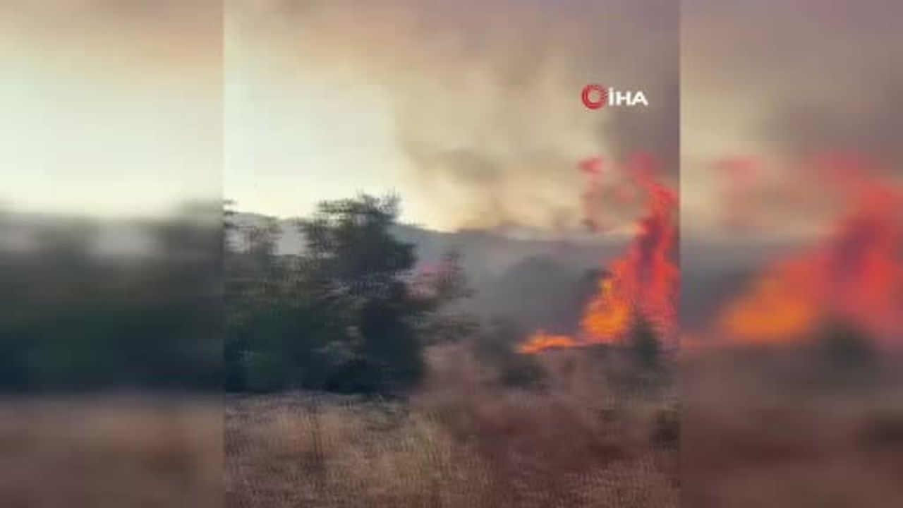Bayramiç'te alevlerle mücadele devam ediyor
