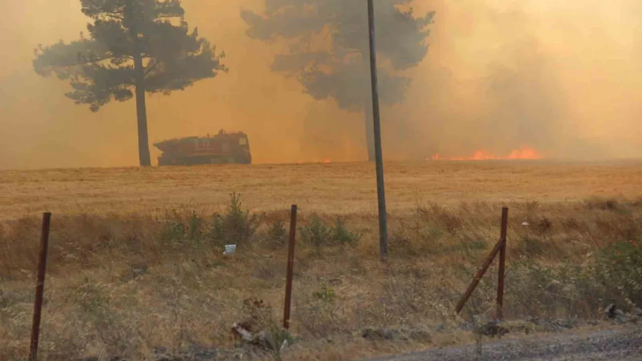 Bayramiç'te Hacıbekirler köyü çevresinde orman yangınına çok yönlü müdahale