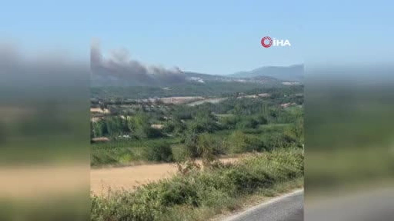 Bayramiç'te rüzgarın etkisiyle yayılan orman yangınına müdahale ediliyor