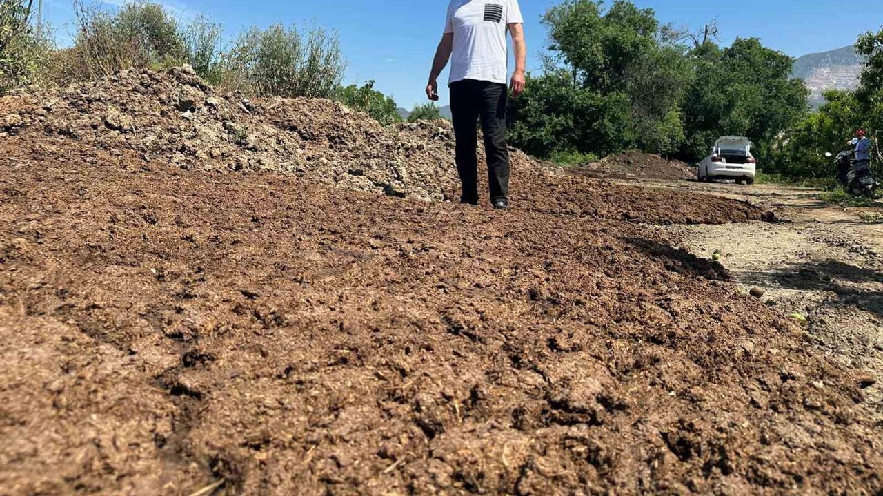 Bedava hayvan gübresiyle Gürsu'da kimyasal maliyeti sıfırladı