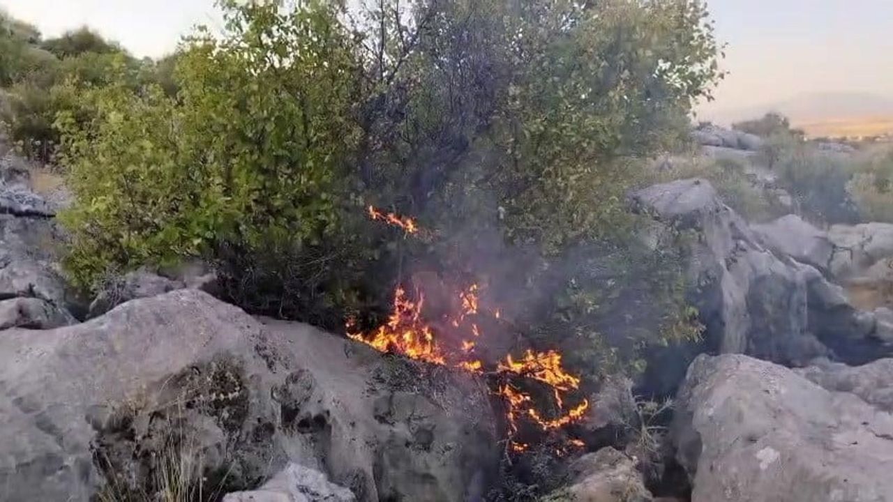 Besni'de anız yangını ormana sıçrayarak 20 hektarı etkiledi