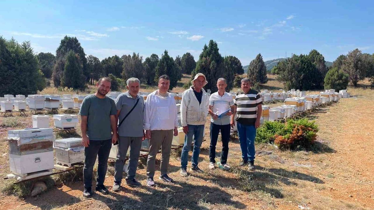 Beyşehir'de arı çiftliklerinde yerinde tespit ve destek planlaması