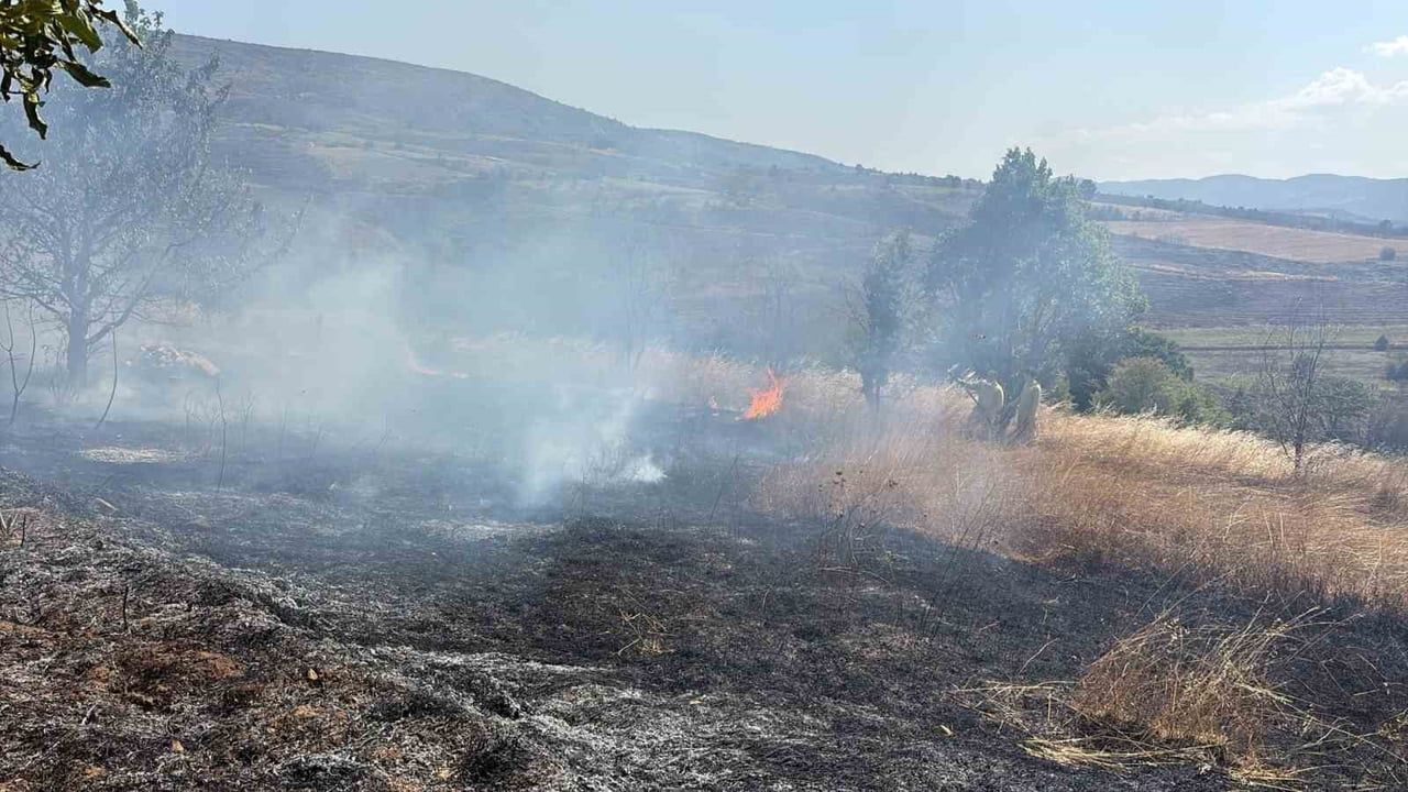 Biçimi yapılmış buğday tarlasındaki alevler hızlı müdahale sayesinde büyümeden söndü