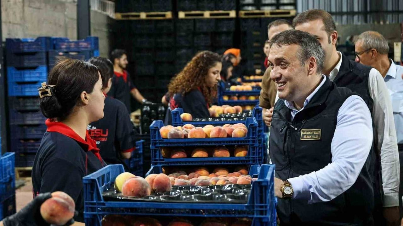 Bilecik'in nektarinini dünya pazarları alıyor: üretimin tamamı ihracata gidiyor