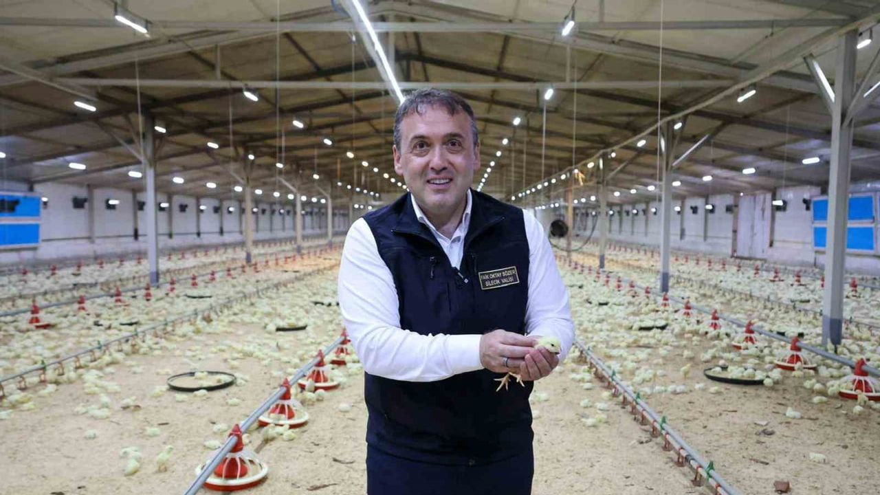 Bilecik'te 11 milyon 530 bin kanatlı, üretimin her aşaması kentte yürütülüyor